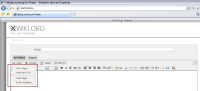 NotSelectedTextLinkCreationIE7.PNG
