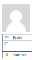 AdministratorProfilePreferencesIE6.png