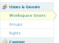 workspace-administration-workspaceusers-section.png