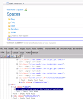 Spaces on IE9.png